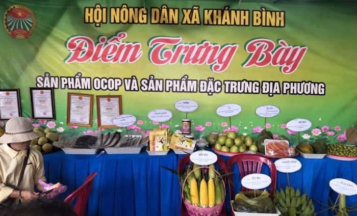 Gian hàng trưng bày, giới thiệu các sản phẩm OCOP và đặc sản của địa phương