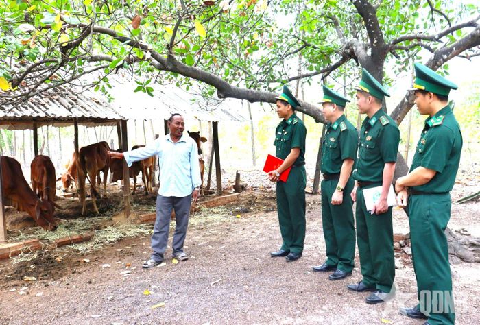  Ông Lâm Bưng là hộ đồng bào dân tộc tiêu biểu vươn lên xóa nghèo từ mô hình “Ngân hàng bò giống giúp người nghèo nơi biên giới”.