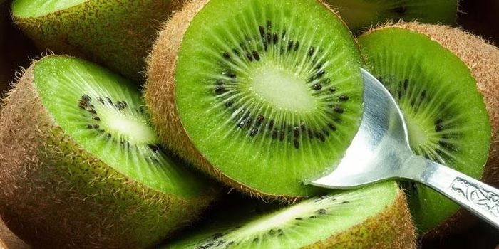 Kiwi cung cấp vitamin C, chất xơ và nhiều hợp chất thực vật, với vị chua ngọt tự nhiên khá dễ ăn. Kiwi có thể được sử dụng trong bữa phụ hoặc kết hợp cùng sữa chua không đường. Dù thuộc nhóm trái cây có lượng đường tương đối thấp, người giảm cân vẫn nên chú ý khẩu phần và tổng lượng năng lượng tiêu thụ trong ngày. Ảnh: Nhà thuốc Long Châu