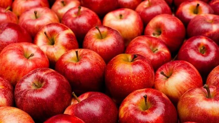 Táo cung cấp nước, chất xơ và nhiều hợp chất thực vật có lợi. Ăn táo nguyên quả, đặc biệt khi giữ lại phần vỏ sau khi rửa sạch, giúp tận dụng lượng chất xơ tự nhiên của quả. Đây là lựa chọn tiện lợi cho bữa phụ, nhưng nên ưu tiên táo tươi thay vì các sản phẩm táo sấy có thêm đường. Ảnh: Long Châu
