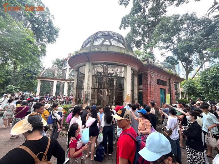 Thảo cầm viên Sài Gòn rộng gần 20 hecta (ha) đông nghẹt khách từ bên trong ra đến ngoài 2 mặt tiền đường Nguyễn Bỉnh Khiêm và Nguyễn Thị Minh Khai.