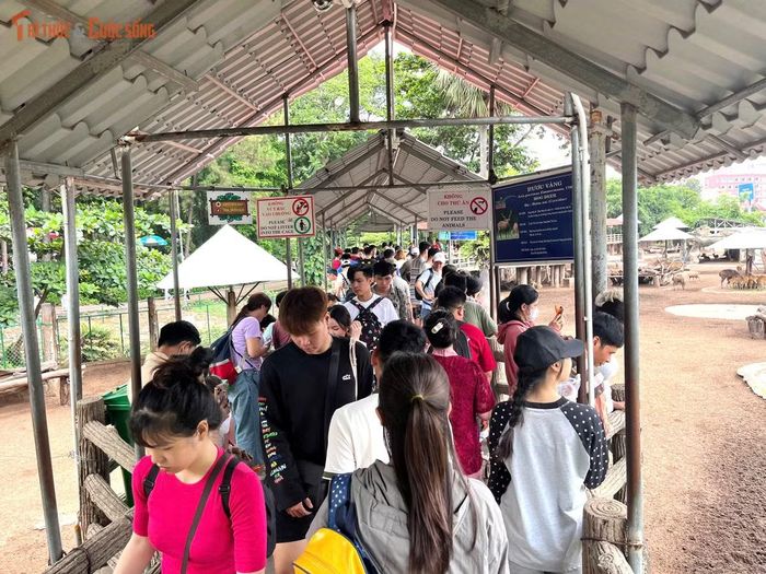 Dòng người chen chân trong Thảo Cầm Sài Gòn ngày 2/9.