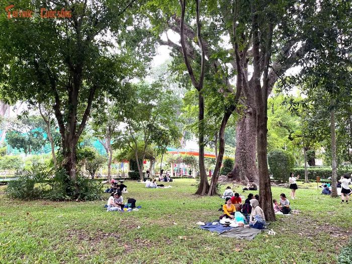 Đa số các gia đình đều mang theo thức ăn, nước uống đến Thảo Cầm Viên để ăn trưa sau khi vui chơi, tham quan.