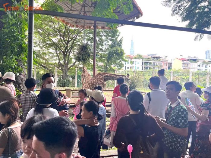 Hầu hết các ông bố, bà mẹ vừa nhân dịp nghỉ lễ đưa gia đình đi chơi, vừa để con nhỏ khám phá thêm về thế giới động vật, điểm đặc trưng chỉ Thảo Cầm Viên mới có.