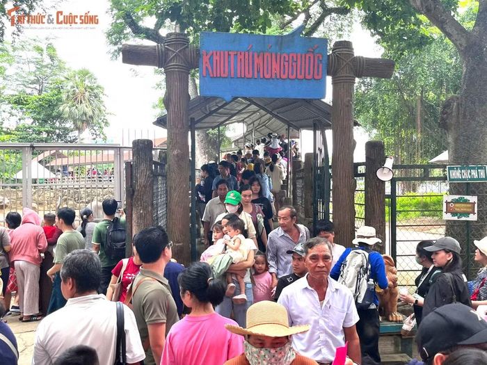 Từ sáng sớm, Thảo Cầm Viên (phường Sài Gòn) đã rất đông. Gần trưa, du khách vẫn nườm nượp đổ về khiến các lối đi trong công viên luôn đông đúc.