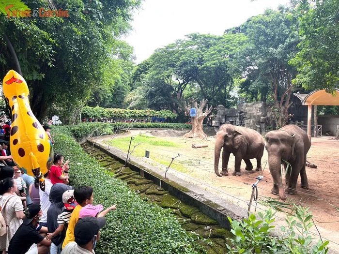 Khách vào Thảo Cầm Viên chủ yếu đi theo nhóm bạn hoặc gia đình, họ mang đồ ăn, thức uống theo để chơi qua trưa. Anh Nguyễn Sỹ (ngụ phường Thủ Đức) cho biết, tranh thủ dịp nghỉ lễ, anh đưa cả gia đình đi chơi để con xem các loài thú.