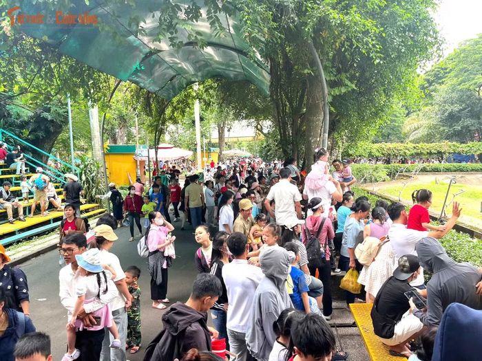 Thời tiết dịu mát suốt cả ngày cũng rất lý tưởng để Thảo Câm Viên và nhiều điểm du lịch ở TP HCM thu hút du khách.