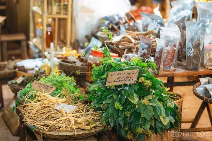 Các gian hàng bày bán đa dạng nông sản, sản phẩm đặc trưng cùng những món ăn truyền thống, góp phần tạo nên một điểm đến sôi động trong dịp nghỉ lễ