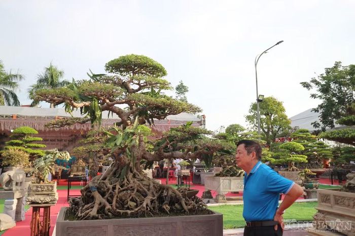 Sự kiện cũng góp phần quảng bá nét đẹp của các làng nghề hoa, cây cảnh xứ Nghệ. Ảnh: Kim Long