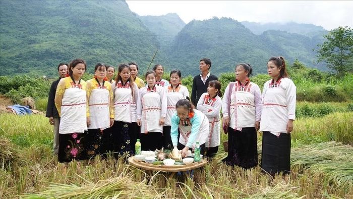 Nét đẹp văn hóa trong nghi lễ "Gọi hồn lúa" của đồng bào dân tộc Mảng được bảo tồn, phát huy