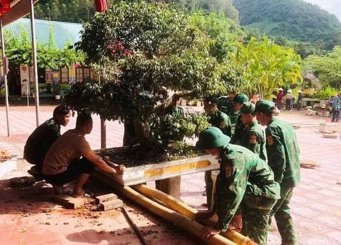 Để học sinh vùng biên có môi trường học tập khang trang, sạch đẹp trước thềm năm học mới, cán bộ, chiến sĩ Bộ đội Biên phòng Sơn La phối hợp với các nhà trường dọn dẹp phòng học, lau chùi bàn ghế, vệ sinh sân trường. Những khu vực xuống cấp, cảnh quan chưa bảo đảm cũng được sửa chữa phù hợp với điều kiện thực tế, góp phần tạo diện mạo mới cho các điểm trường và môi trường học tập an toàn, sạch đẹp cho học sinh nơi biên giới.