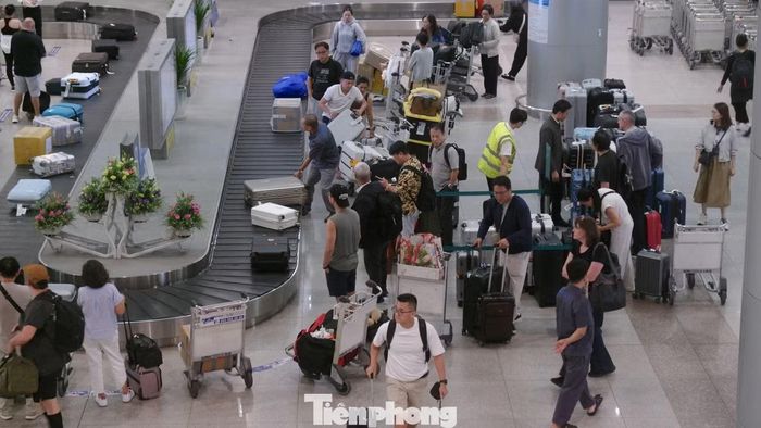 Tại nhà ga quốc tế T2, không khí nhộn nhịp hơn khi các chuyến bay từ nước ngoài liên tục hạ cánh trong khung giờ cao điểm. Lượng khách dồn về khu vực nhận hành lý khiến nhiều băng chuyền trở nên đông đúc.