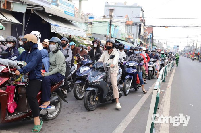 Khu vực dẫn vào phà đông đúc phương tiện.
