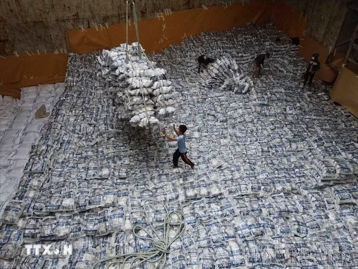 Xuất khẩu gạo tại Tổng công ty Lương thực miền Nam (Vinafood 2). (Ảnh: Vũ Sinh/TTXVN)