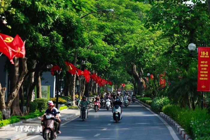 Cờ Đảng, cờ Tổ quốc nối dài giữa những hàng cây, hòa cùng dòng người qua lại, khiến không khí ngày Tết Độc lập hiện diện ngay trong nhịp sống thường nhật của Hà Nội. (Ảnh: Phạm Tuấn Anh/TTXVN)