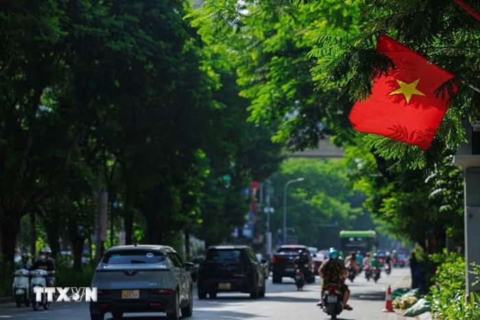 Lá cờ Tổ quốc nổi bật giữa những tán cây xanh trong nắng tháng Chín, một hình ảnh giản dị mà rất đỗi thân quen với nhiều thế hệ người Hà Nội mỗi dịp Quốc khánh. (Ảnh: Phạm Tuấn Anh/TTXVN)