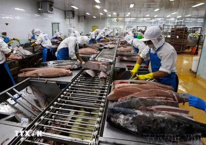 Xuất khẩu hàng hóa là một thế mạnh của Việt Nam trong những năm gần đây. Trong ảnh: Sản xuất tôn tại Tập đoàn Hòa Phát. (Ảnh: Tuấn Anh/TTXVN)