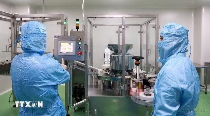 Ngành y tế phát triển về cả quy mô và chất lượng. Trong ảnh: Nghiên cứu viên tại Viện Vắc xin và Sinh phẩm Y tế - Bộ Y tế (trụ sở tại tỉnh Khánh Hòa) nghiên cứu, sản xuất vaccine. (Ảnh: Xuân Triệu/TTXVN)