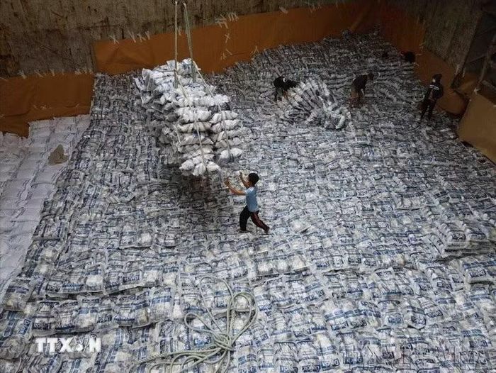 Xuất khẩu gạo tại Tổng công ty Lương thực miền Nam (Vinafood 2). (Ảnh: Vũ Sinh/TTXVN)