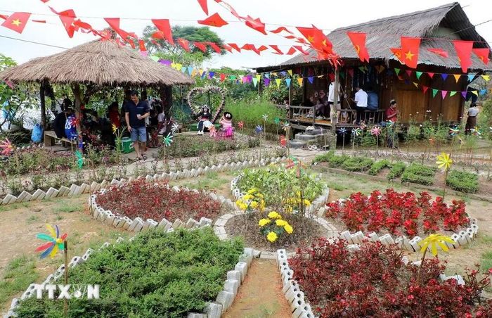 Nhiều gia đình trong bản Tìa Ló chủ động trang trí nhà cửa, trồng cây cảnh, tạo cảnh quan xanh, sạch, đẹp để sẵn sàng đón du khách. (Ảnh: Trung Kiên/TTXVN)