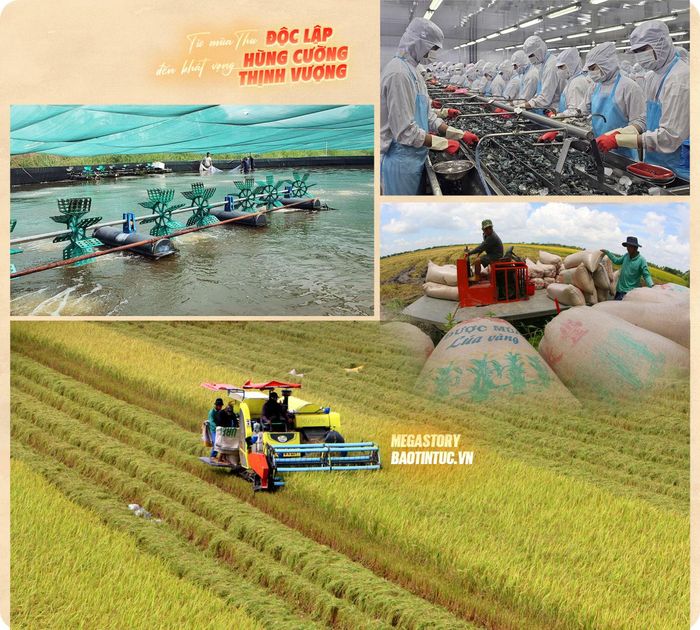 Xây dựng các vùng sản xuất hàng hóa tập trung, công nghệ cao, quy mô lớn, đảm bảo điều kiện xuất khẩu của thị trường.