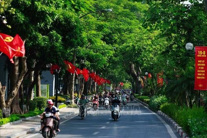 Cờ Đảng, cờ Tổ quốc nối dài giữa những hàng cây, hòa cùng dòng người qua lại, khiến không khí ngày Tết Độc lập hiện diện ngay trong nhịp sống thường nhật của Hà Nội.