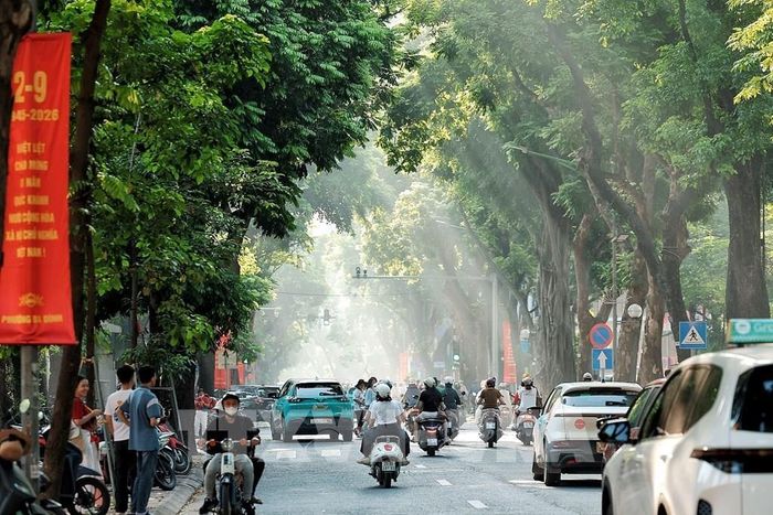 Nắng sớm xuyên qua những vòm cây cổ thụ trên phố Phan Đình Phùng trong ngày Quốc khánh 2/9, khi Hà Nội bắt đầu một ngày mới giữa sắc đỏ của những pano, cờ hoa chào mừng ngày Quốc khánh. Ảnh: Phạm Tuấn Anh - TTXVN