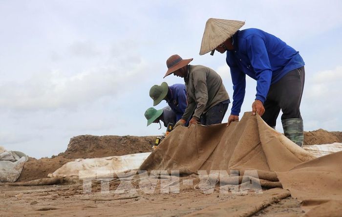 Công nhân Công ty Cổ phần Đầu tư và Giao thông Phương Thành thi công hạng mực rải thảm địa kỹ thuật đối với những km đã dỡ tải xong. Ảnh: Công Mạo-TTXVN