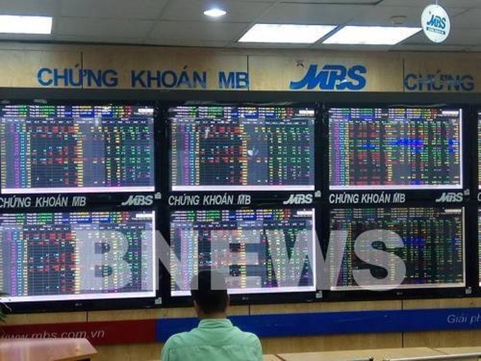 Nhà đầu tư theo dõi diễn biến thị trường chứng khoán tại MBS. Ảnh: Văn Giáp/Bnews/vnanet.vn