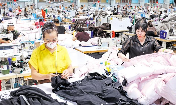  Công ty cổ phần Cầu Sen Lục Nam đi vào hoạt động từ năm 2024, tạo việc làm cho lao động địa phương với thu nhập bình quân từ 10,5-11 triệu đồng/người/tháng. 