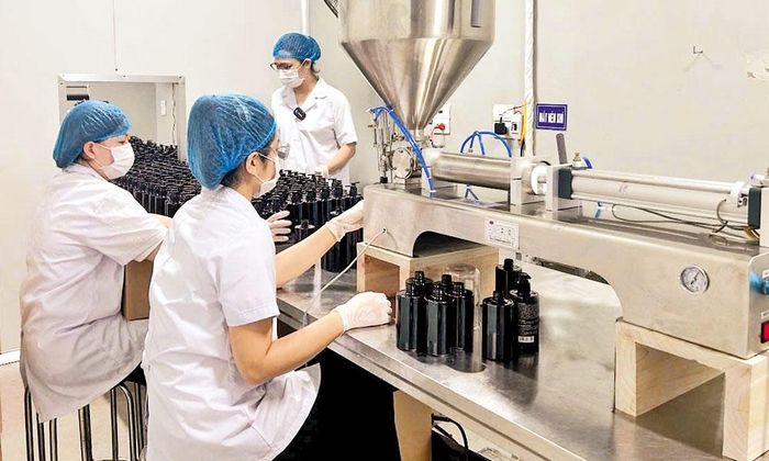 Sản xuất tại Công ty trách nhiệm hữu hạn Dược liệu Việt Kết (xã Nhân Thắng).