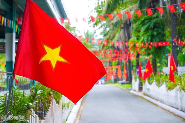 Cờ Tổ quốc, pano được trang trí rực rỡ tại các khu du lịch ở thành phố Đồng Nai. Ảnh: CTV