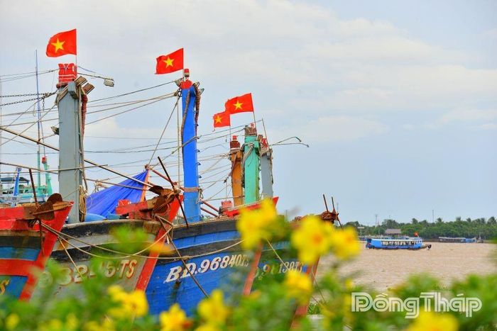 Cờ Tổ quốc tung bay trên những chiếc tàu bên bến cảng, lan tỏa không khí chào mừng Quốc khánh đến các vùng sông nước.