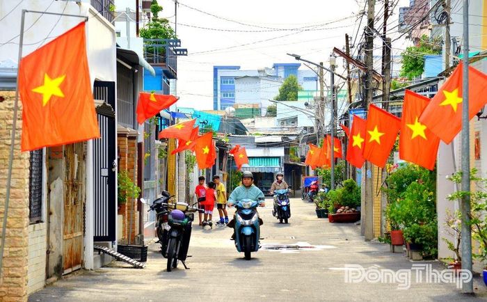 Từ những tuyến đường lớn đến các hẻm nhỏ, cờ Tổ quốc được người dân treo trước nhà, bừng lên rực rỡ trong từng khu dân cư.