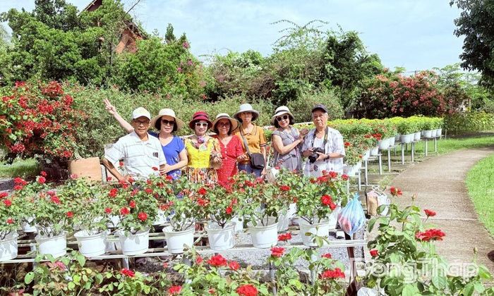  Khu du lịch Vườn hồng Tư Tôn tạo điểm nhấn riêng với du khách.