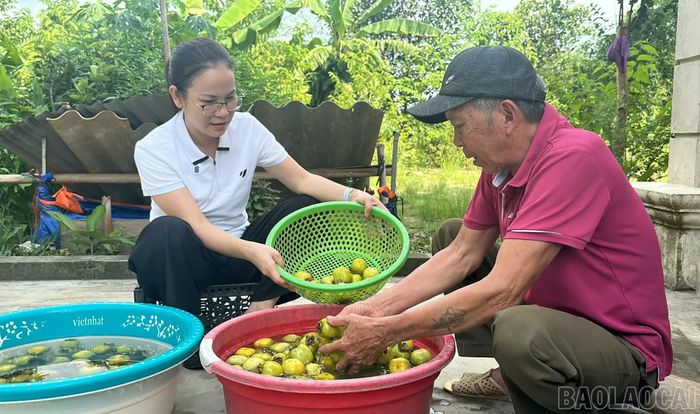 Ông Đỗ Khắc Hùng, thôn Tân An là hộ có kinh nghiệm lâu năm bán hồng ngâm ngon nhất vùng.
