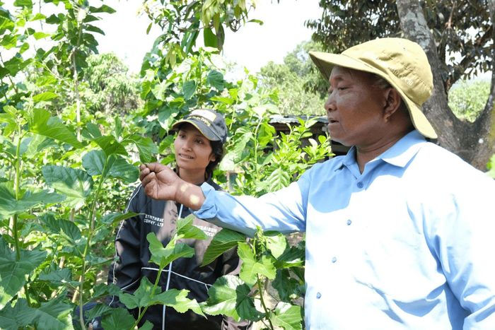 Người có uy tín góp sức đưa chủ trương, chính sách đến gần hơn với bà con