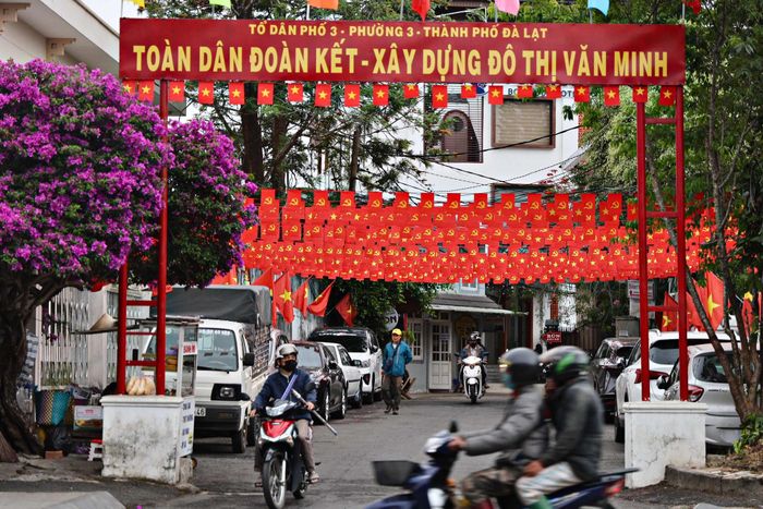 Các tuyến phố khu vực đô thị Lâm Đồng rực rỡ sắc đỏ cờ Tổ quốc. Từ những con đường trung tâm đến khu dân cư, cờ đỏ sao vàng tung bay trong không khí náo nức hướng về Quốc khánh 2/9
