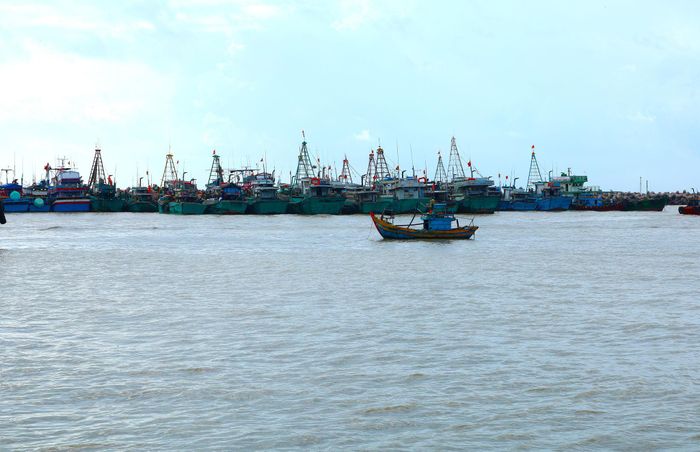 Tàu thuyền neo đậu tại Cảng cá La Gi