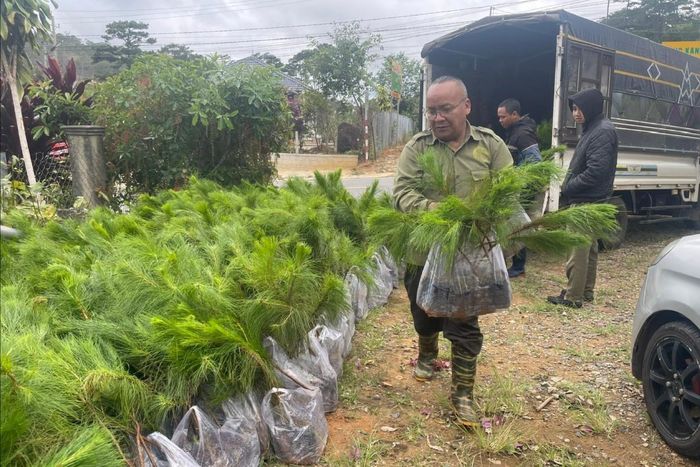 Không chỉ nhận khoán bảo vệ rừng, ông Kon Sa Ha Nhơng còn tích cực nhận cây giống để trồng, góp phần tăng độ che phủ rừng