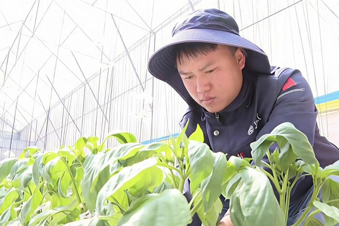 Anh Đinh Ngọc Lâm, xã Nam Hà Lâm Hà khởi nghiệp bằng nông nghiệp công nghệ cao