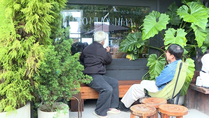 Trang trí quán cà phê đón Tết độc lập 2/9