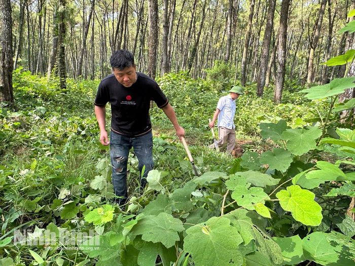 Người dân nhận khoán chủ động phát quang thảm thực bì, dọn dẹp vật liệu cháy để tạo đường ranh cản lửa an toàn.