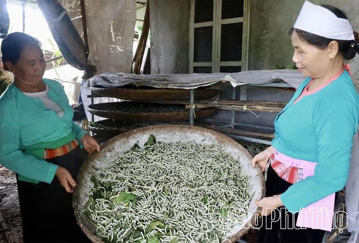 Những người phụ nữ Mường là chủ thể lưu giữ bí quyết tinh xảo của nghề dệt thổ cẩm truyền thống.