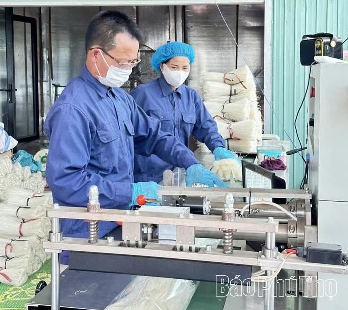 Sản phẩm Mỳ gạo Thư Phê được hoàn thiện, đóng gói trước khi đưa ra thị trường.