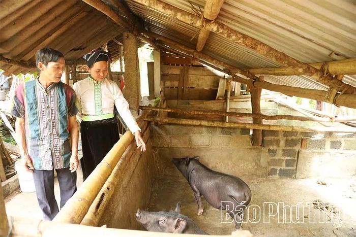 Nhân dân xã Quy Đức tích cực phát triển chăn nuôi, nâng cao thu nhập.