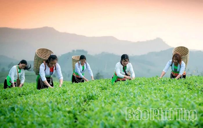 Du lịch sinh thái, nghỉ dưỡng và du lịch cộng đồng ở Long Cốc là một trong những điểm đến thu hút sự quan tâm của nhiều du khách.