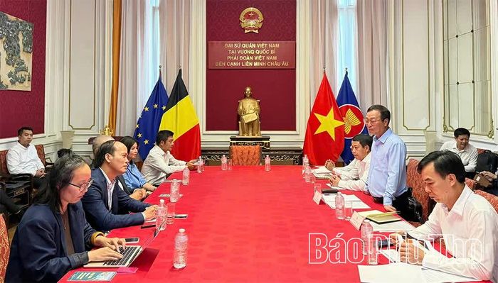 Phó Bí thư Thường trực Tỉnh ủy Bùi Văn Quang phát biểu tại buổi làm việc với Đại sứ quán Việt Nam tại Vương quốc Bỉ - Phái đoàn Việt Nam bên cạnh Liên minh châu Âu.