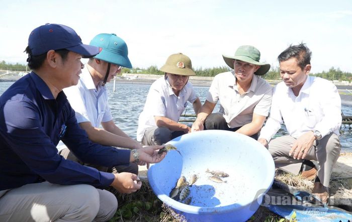 Cán bộ kỹ thuật và chính quyền địa phương kiểm tra tốc độ sinh trưởng của cá kình tại ao nuôi - Ảnh: K.S