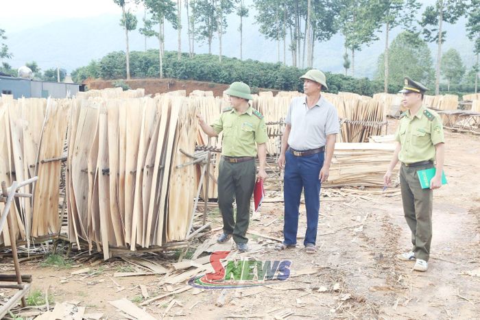 Cán bộ Hạt Kiểm lâm khu vực XI kiểm tra kiểm tra cơ sở chế biến gỗ trên địa bàn xã Sốp Cộp.